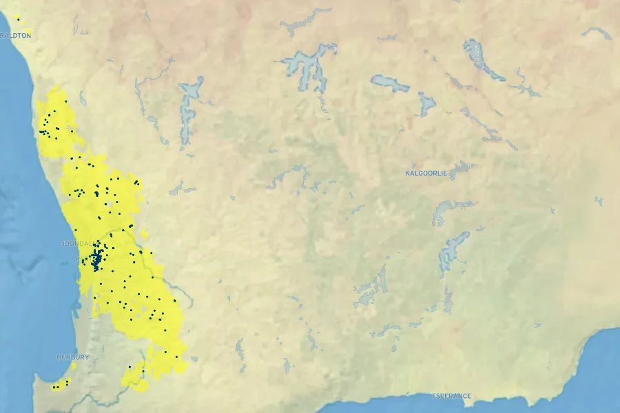 Isopogon dubius Native Range