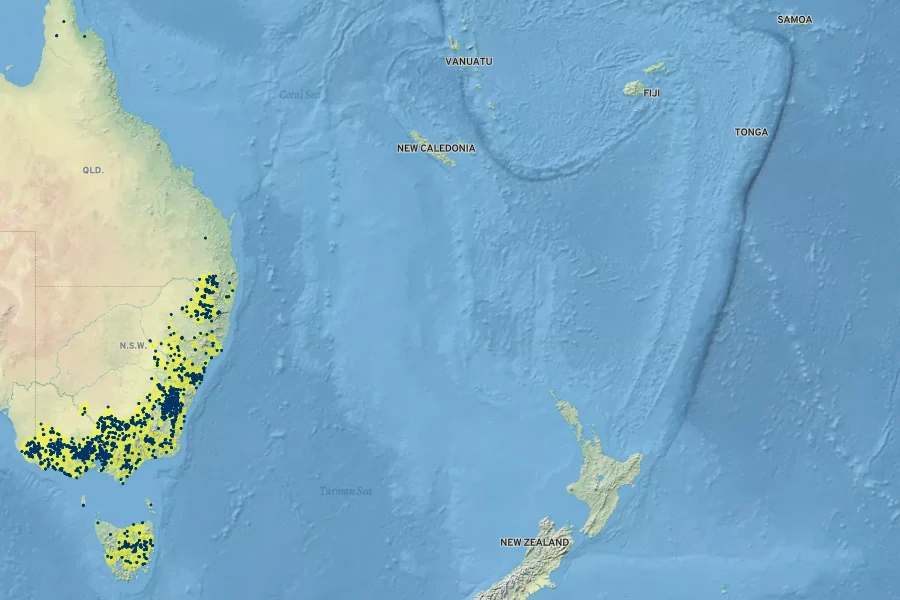 Isotoma fluviatilis Native Range