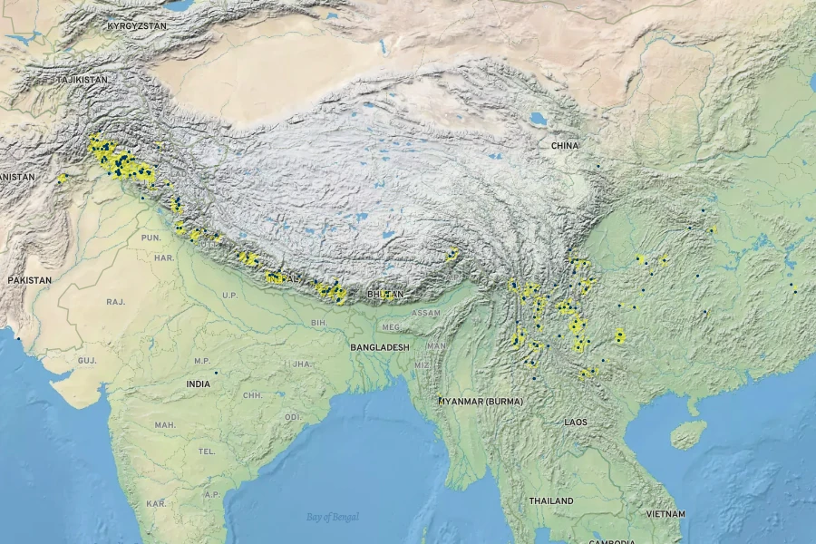 Jacobaea analoga Native Range