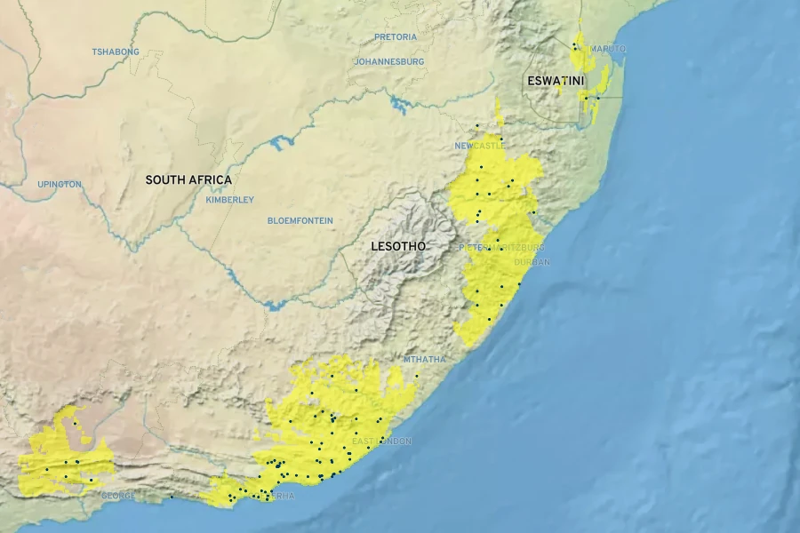 Jasminum angulare Native Range