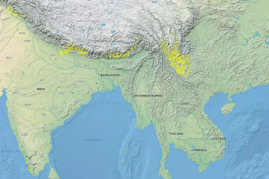 Jasminum grandiflorum Native Range