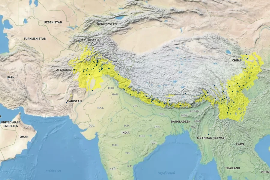 Jasminum humile Native Range