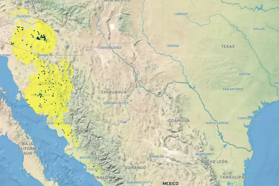Jatropha cardiophylla Native Range