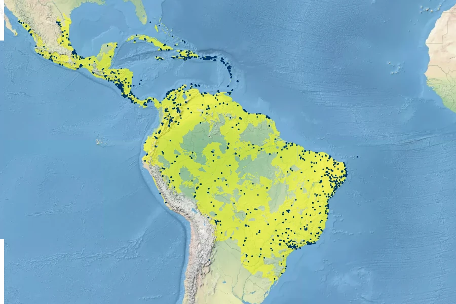 Jatropha gossypiifolia Native Range