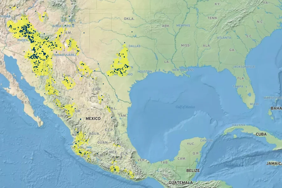 Juglans major Native Range
