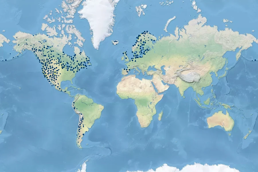 Juncus balticus Native Range