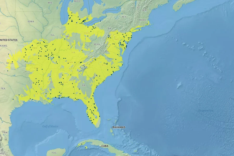 Juncus biflorus Native Range