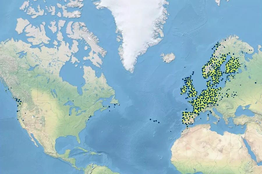 Juncus bulbosus Native Range