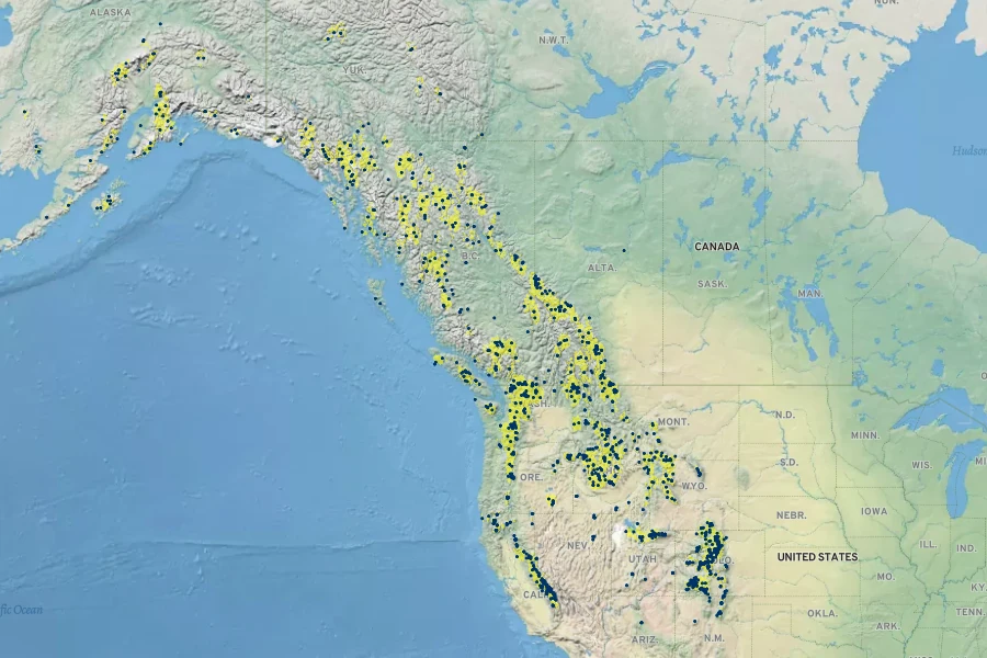 Juncus drummondii Native Range