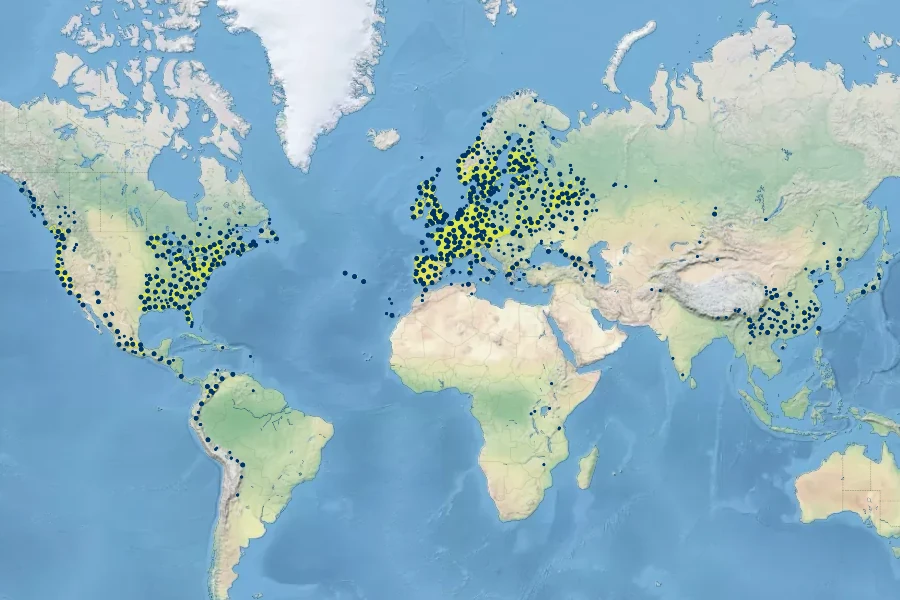 Juncus effusus Native Range
