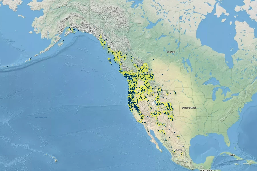 Juncus ensifolius Native Range