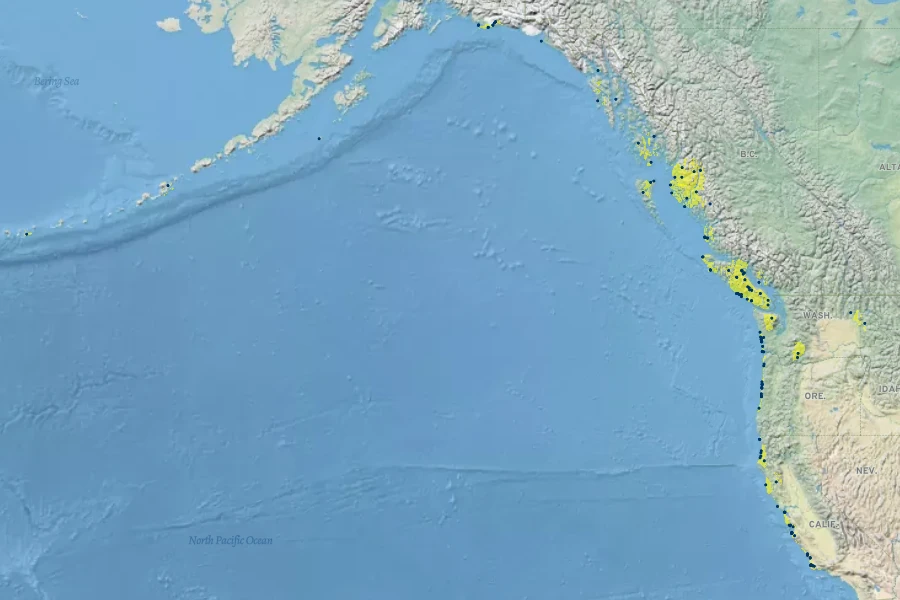 Juncus falcatus Native Range