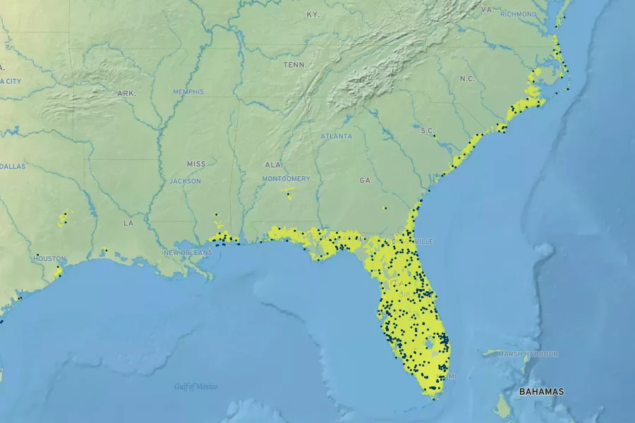 Juncus megacephalus Native Range