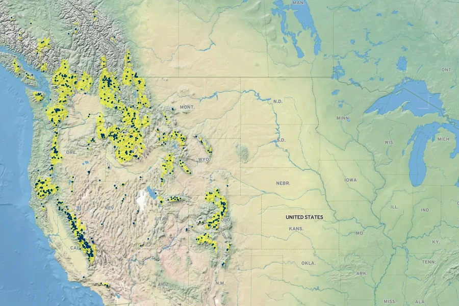 Juncus parryi Native Range