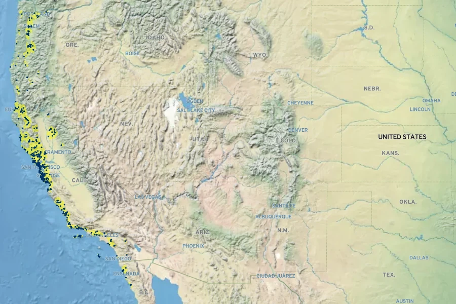 Juncus patens Native Range