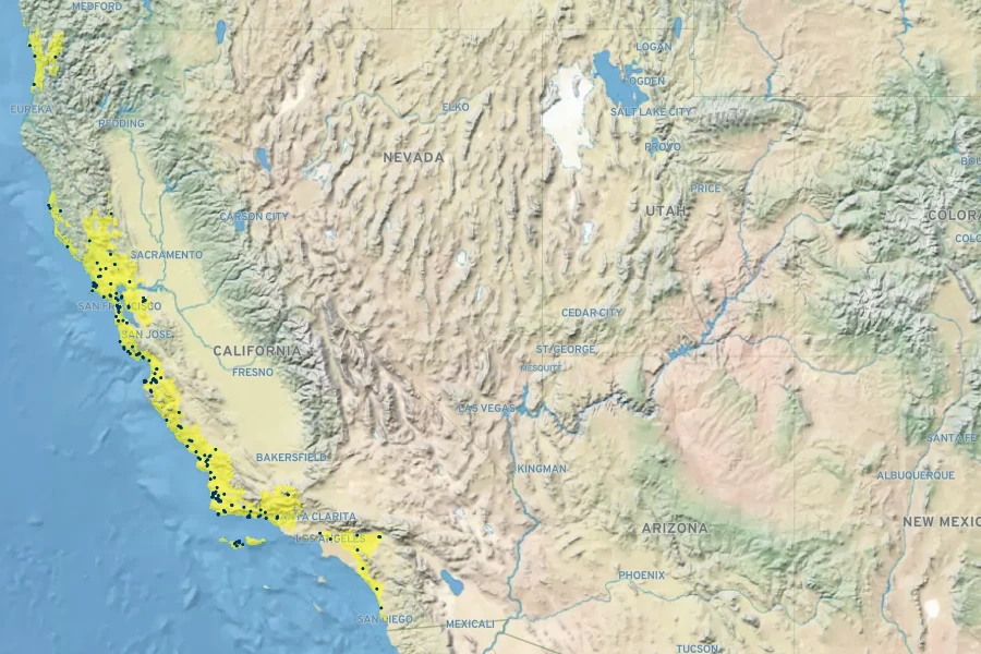 Juncus phaeocephalus Native Range