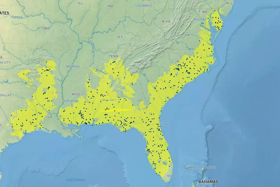 Juncus repens Native Range