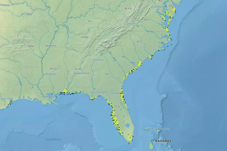 Juncus roemerianus Native Range