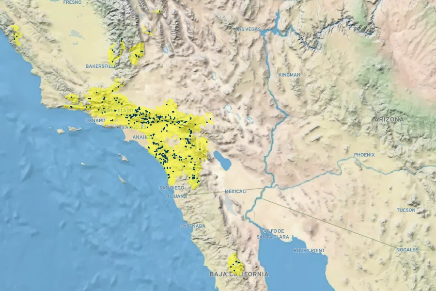 Juncus rugulosus Native Range