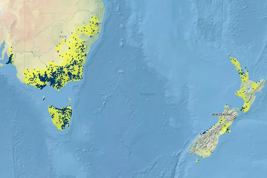 Juncus sarophorus Native Range