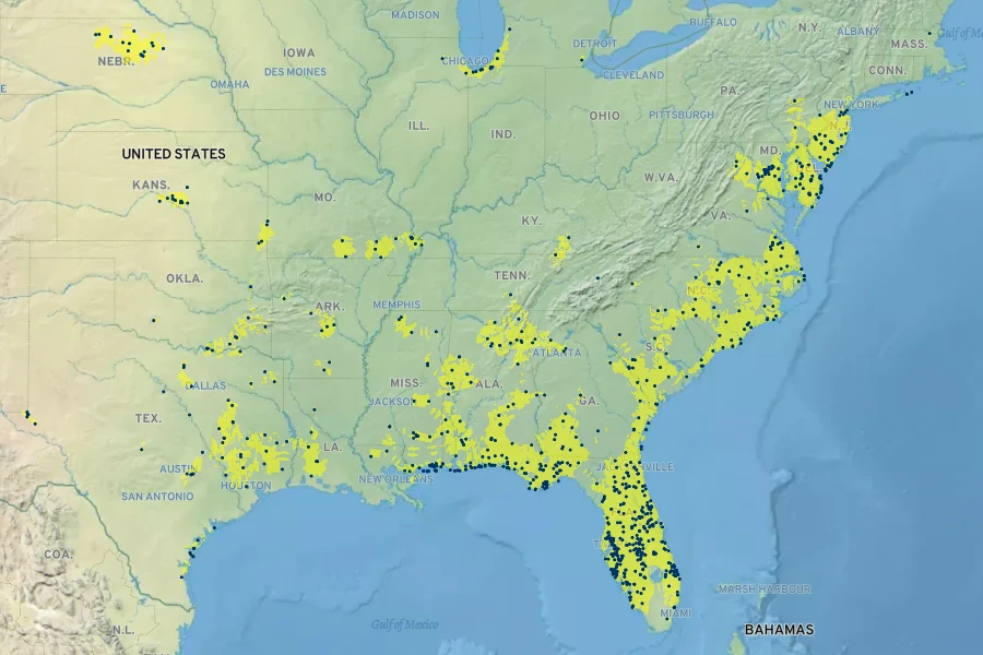 Juncus scirpoides Native Range