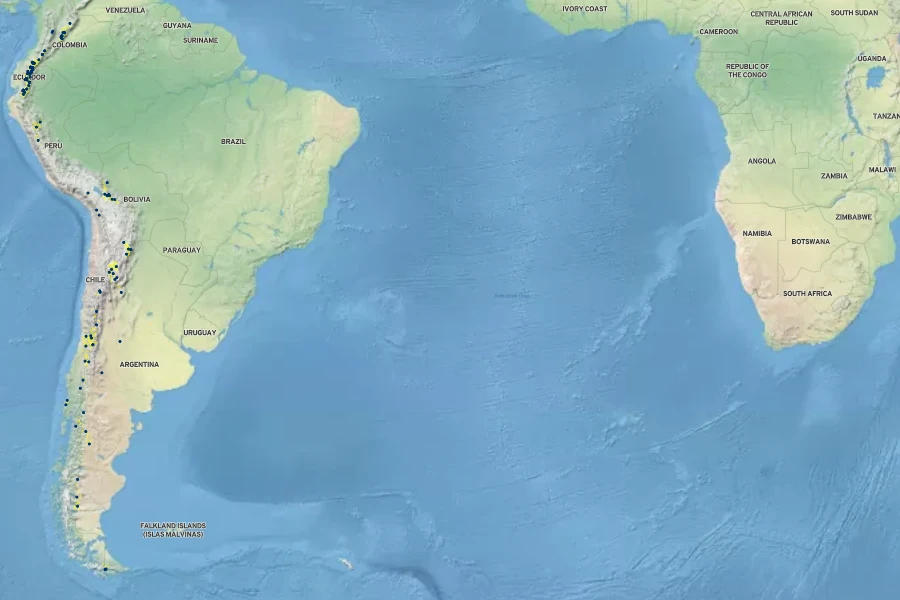 Juncus stipulatus Native Range