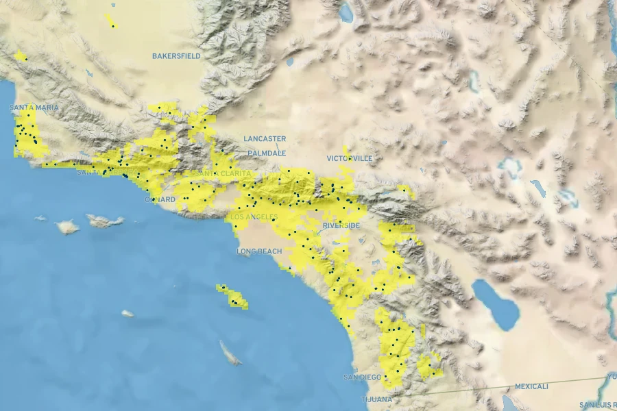 Juncus textilis Native Range