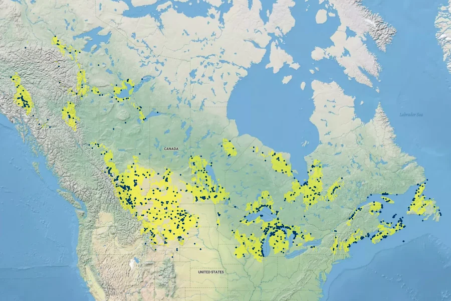 Juniperus horizontalis Native Range