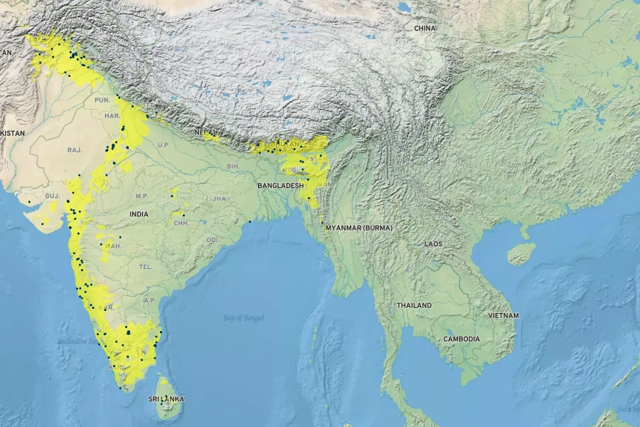 Justicia adhatoda Native Range