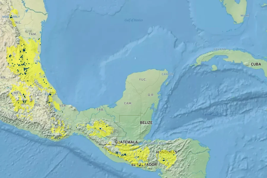 Justicia brandegeeana Native Range