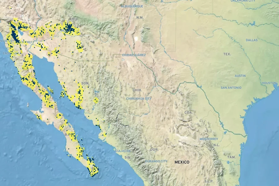 Justicia californica Native Range