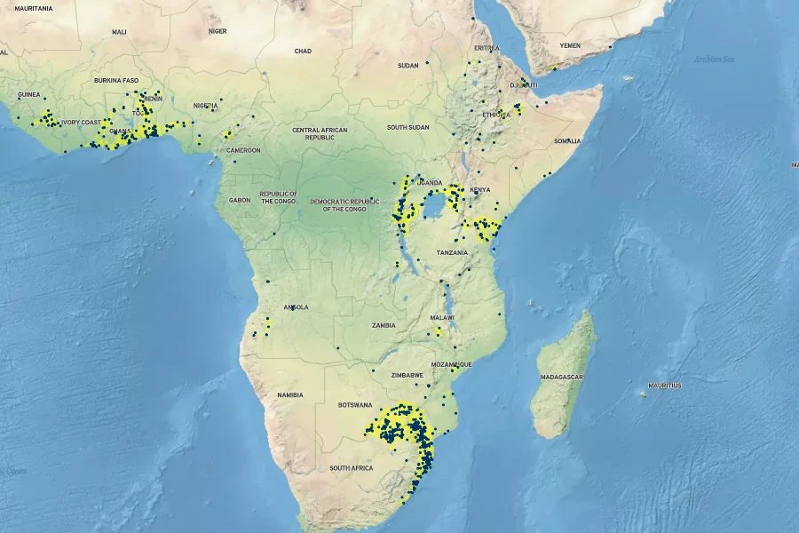 Justicia flava Native Range