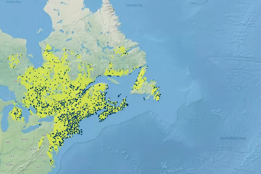 Kalmia angustifolia Native Range