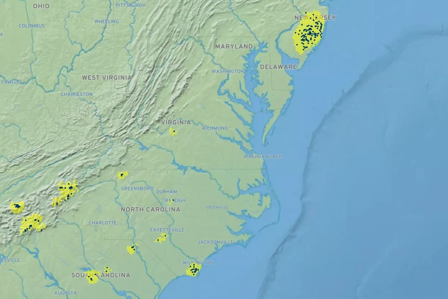Kalmia buxifolia Native Range