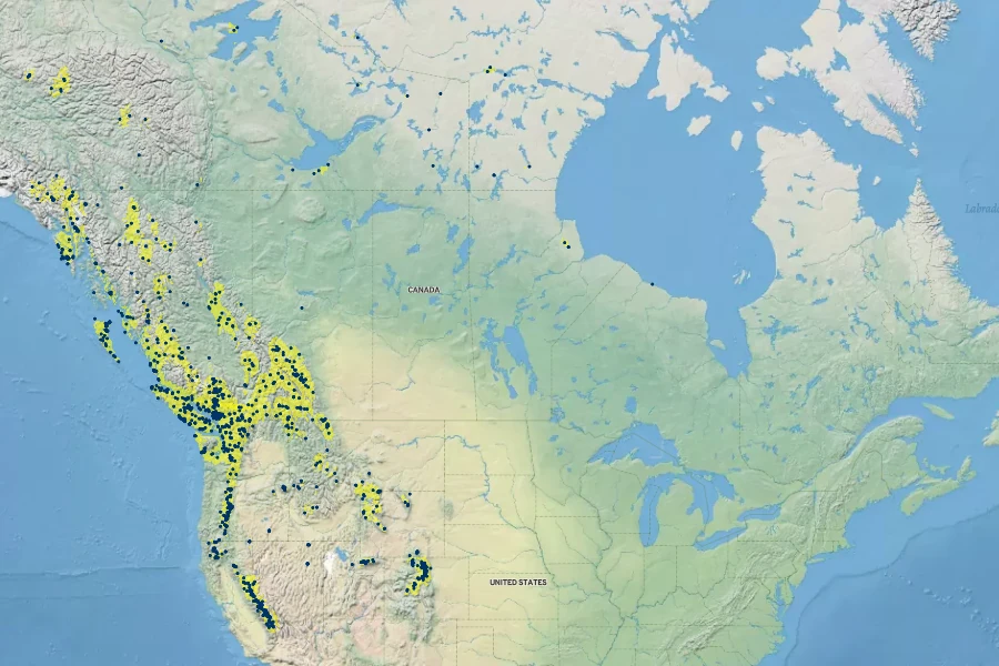 Kalmia microphylla Native Range
