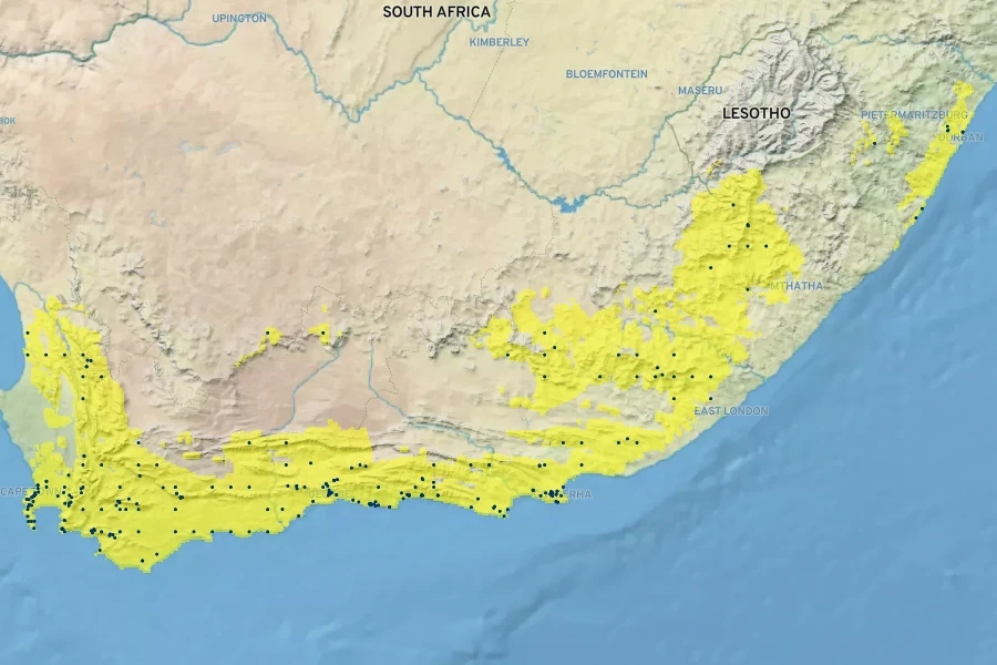 Kniphofia uvaria Native Range