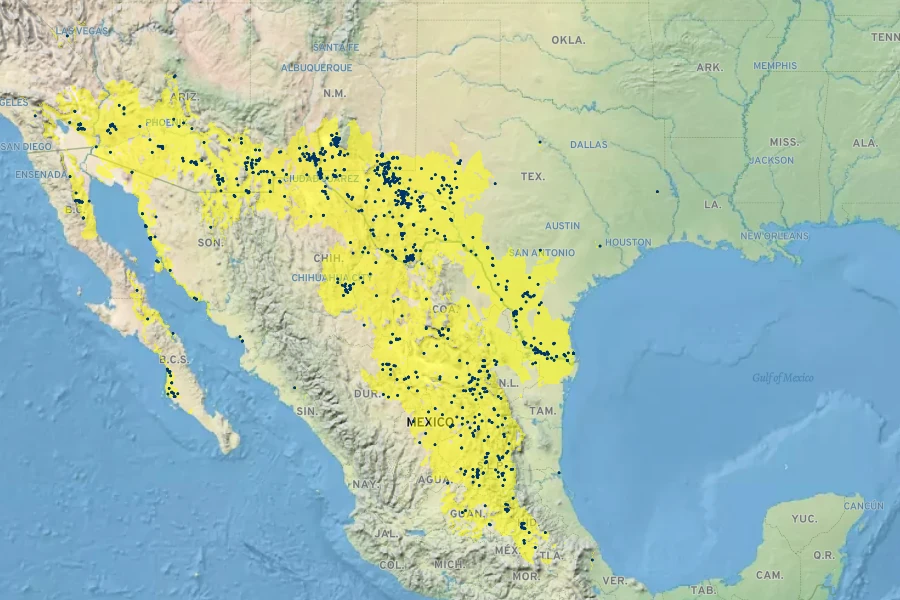 Koeberlinia spinosa Native Range