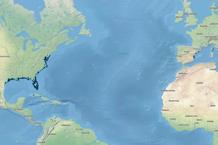 Kosteletzkya pentacarpos Native Range
