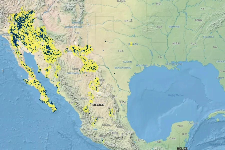 Krameria erecta Native Range