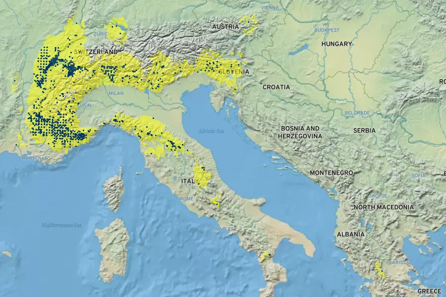 Laburnum alpinum Native Range