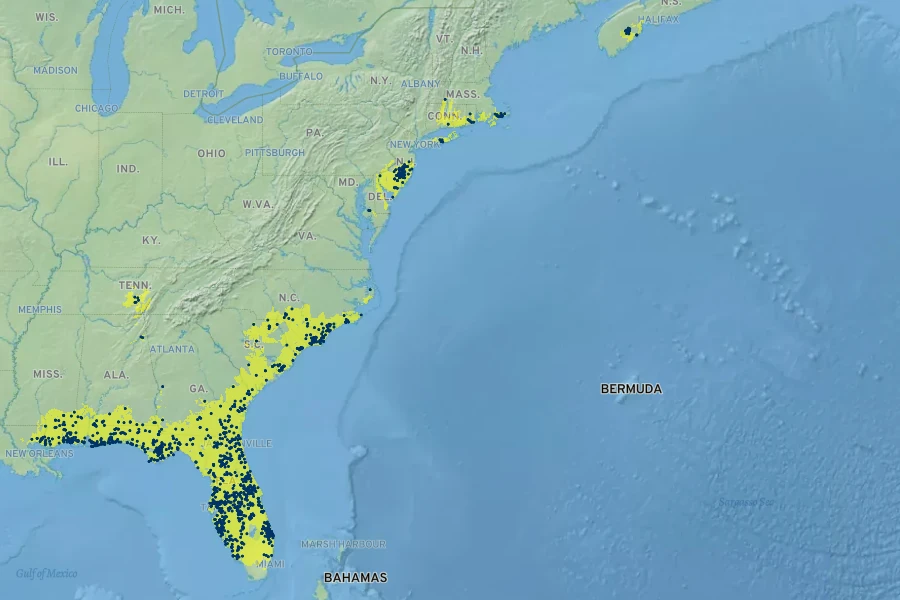 Lachnanthes caroliana Native Range