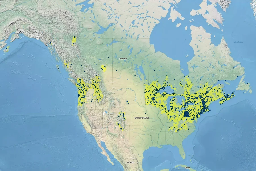 Lactuca biennis Native Range