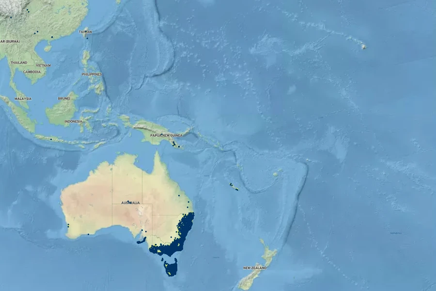 Lagenophora stipitata Native Range