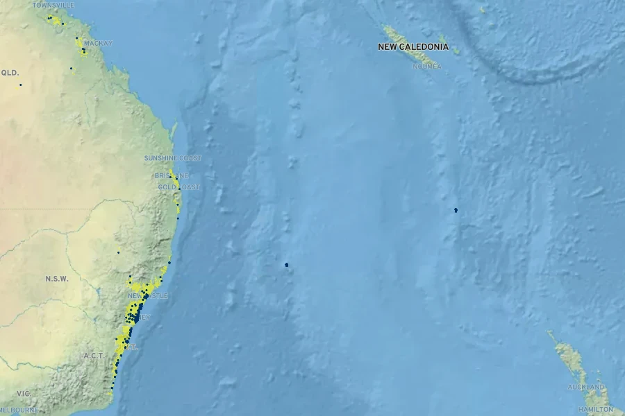 Lagunaria patersonii Native Range