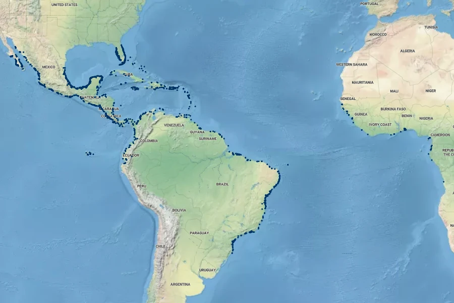 Laguncularia racemosa Native Range