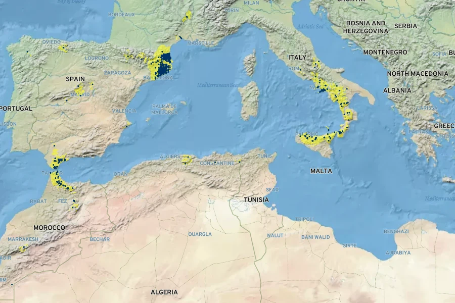 Lamium flexuosum Native Range