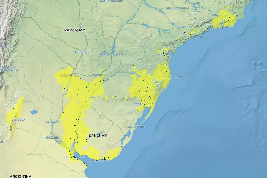 Lantana montevidensis Native Range