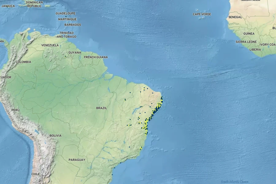 Lantana radula Native Range