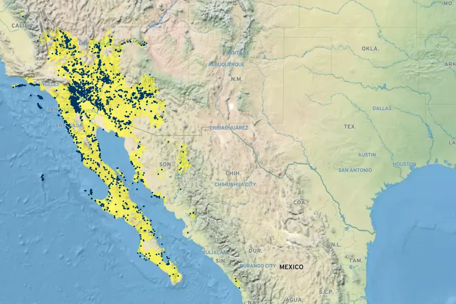 Laphamia emoryi Native Range
