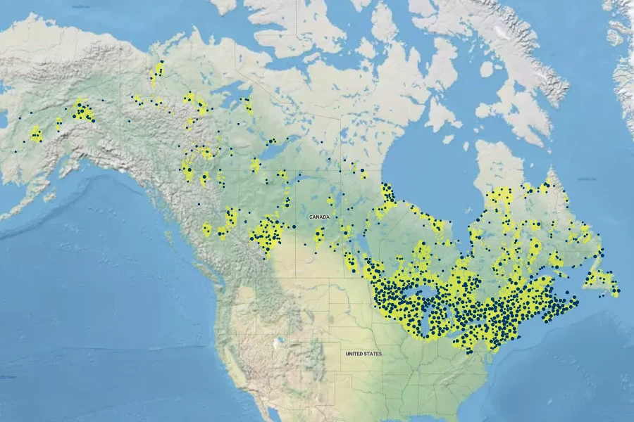 Larix laricina Native Range